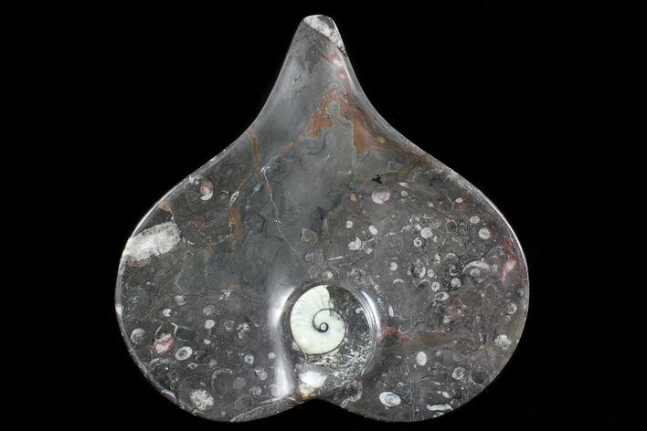Heart Shaped Fossil Goniatite Dish #73769
